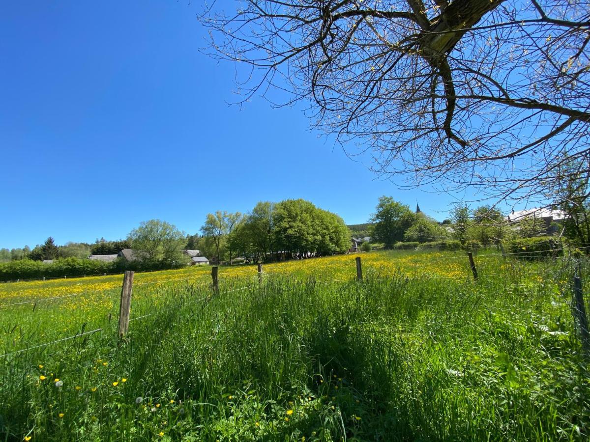 Le Scailleteux - Gite De Charme Cloture, Acces A La Riviere Fauvillers Exterior foto