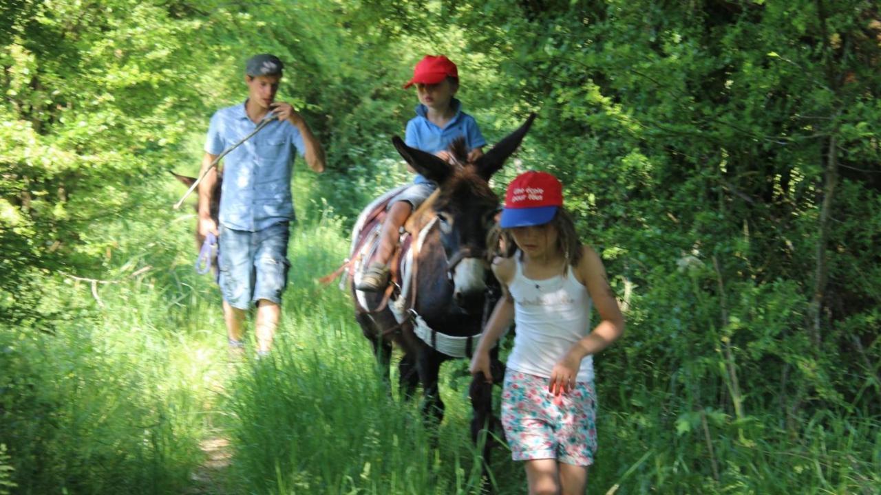Le Scailleteux - Gite De Charme Cloture, Acces A La Riviere Fauvillers Exterior foto