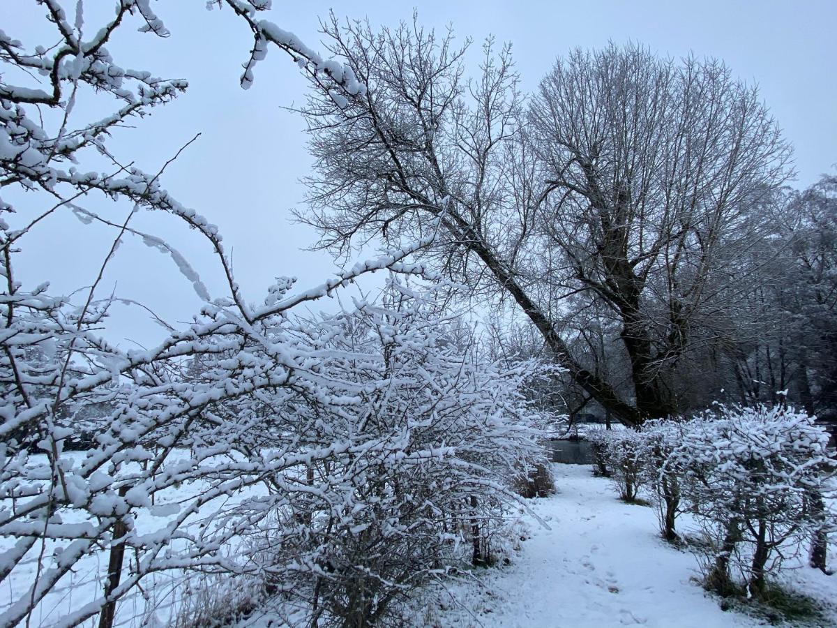 Le Scailleteux - Gite De Charme Cloture, Acces A La Riviere Fauvillers Exterior foto