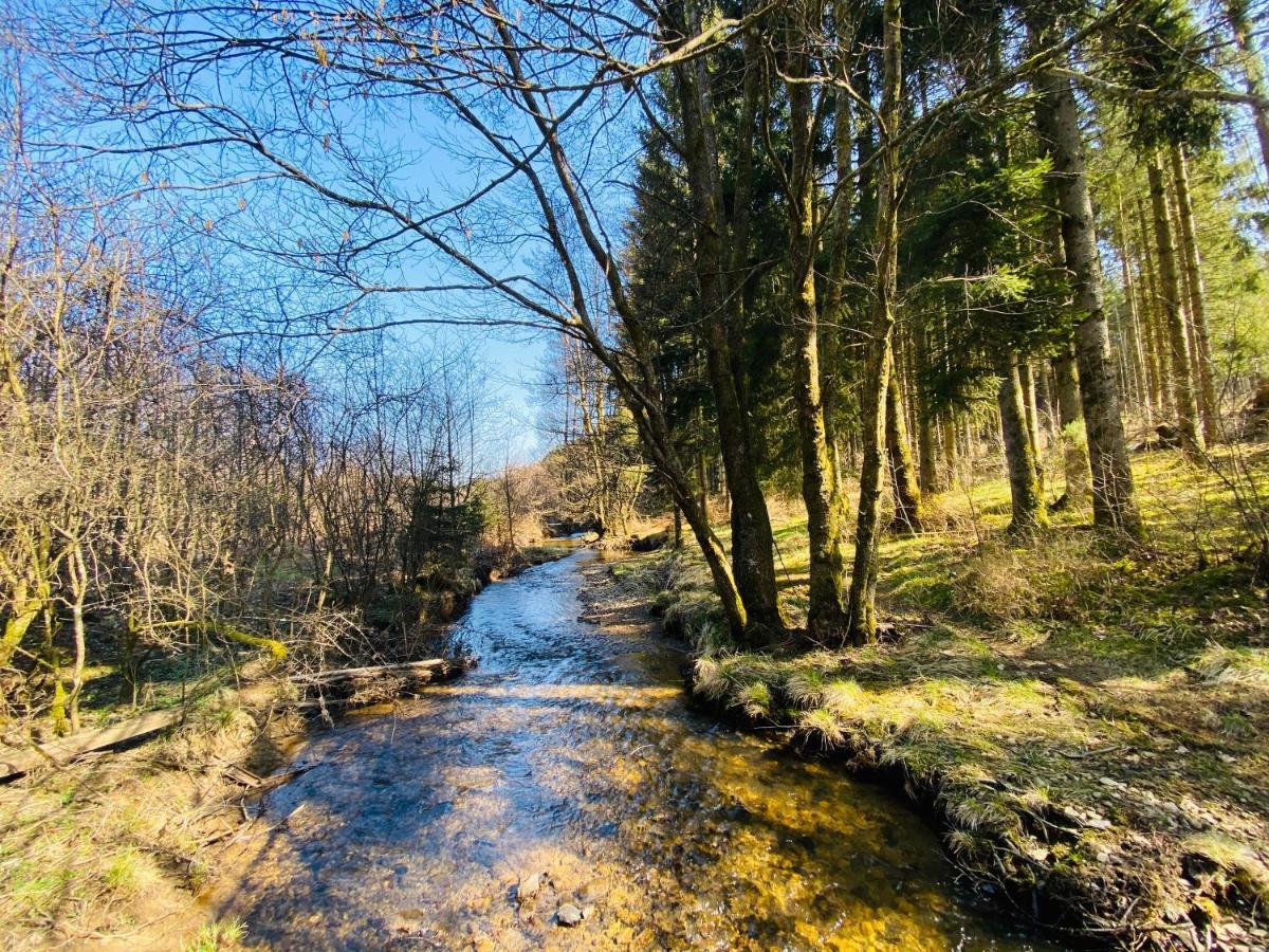 Le Scailleteux - Gite De Charme Cloture, Acces A La Riviere Fauvillers Exterior foto